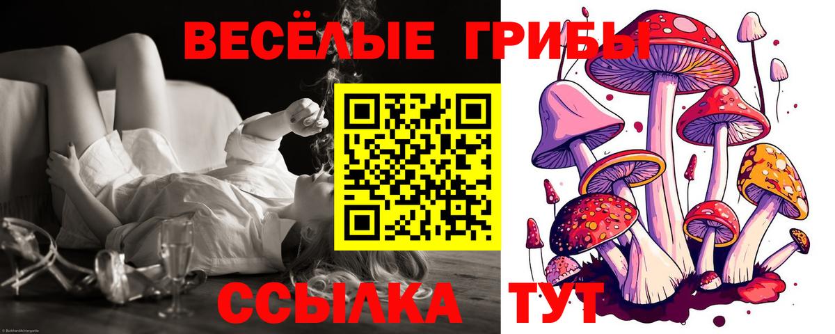 Ялуторовск  Галлюциногенные грибы MAGIC MUSHROOMS  Галлюциногенные грибы ЛСД  Вход с VPN 